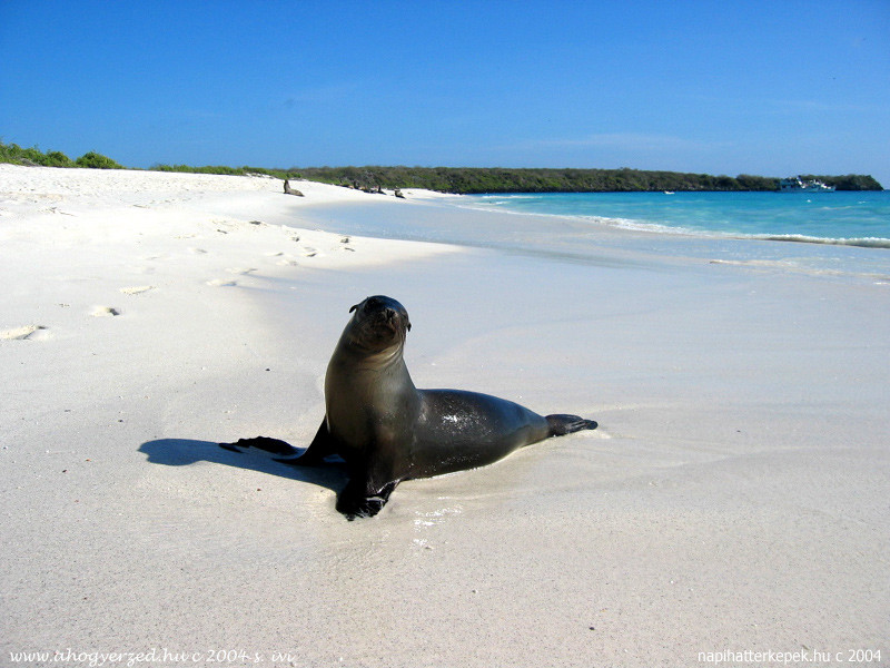 09ecuador 800x600