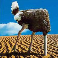 funpicture-ostrich head sand