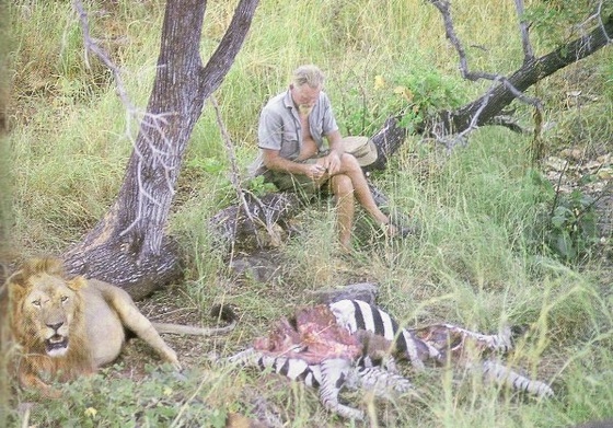 GeorgeAdamson LionRelaxAfterMealMeru BK