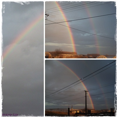 rainbows