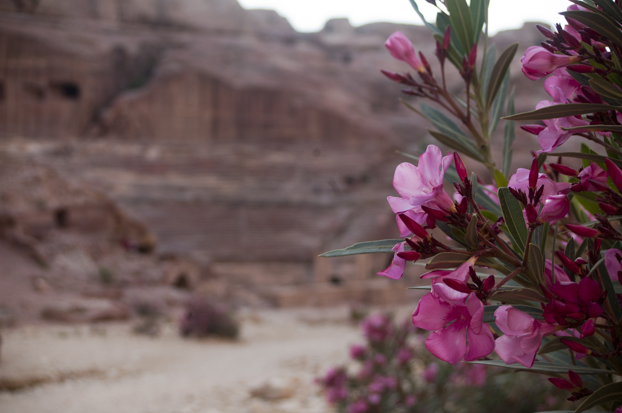 Petra Day3 047