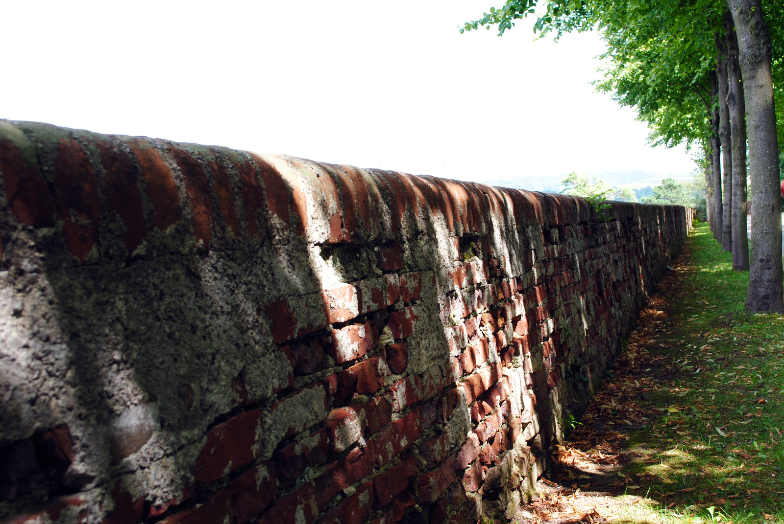 castle wall