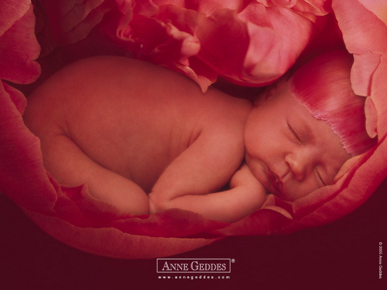 anne-geddes-139