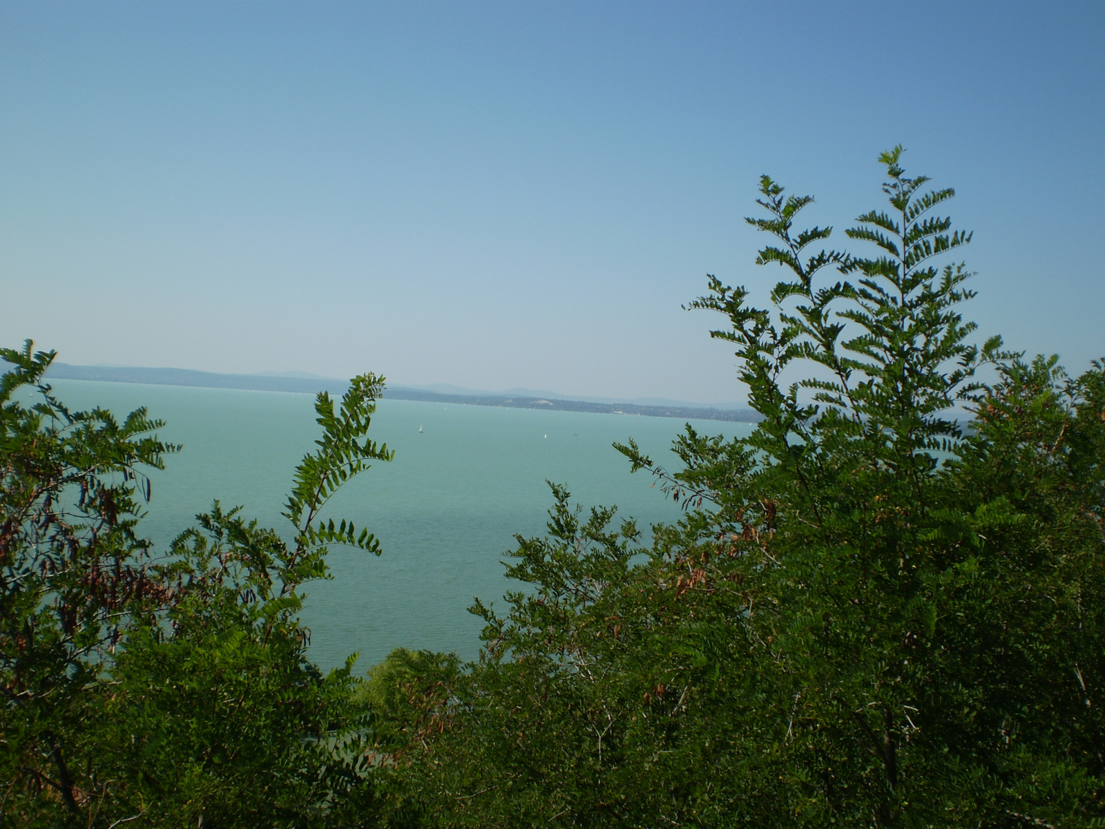 Balaton