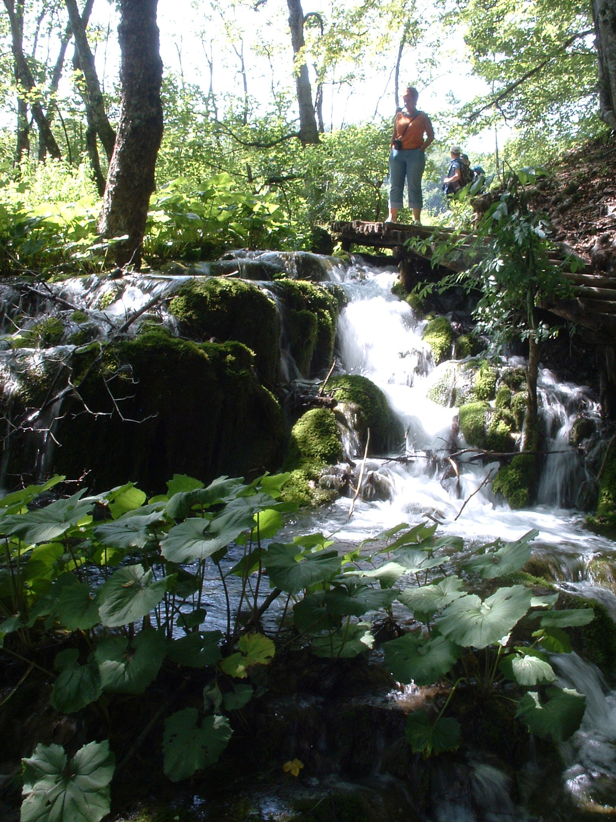 Plitvice115