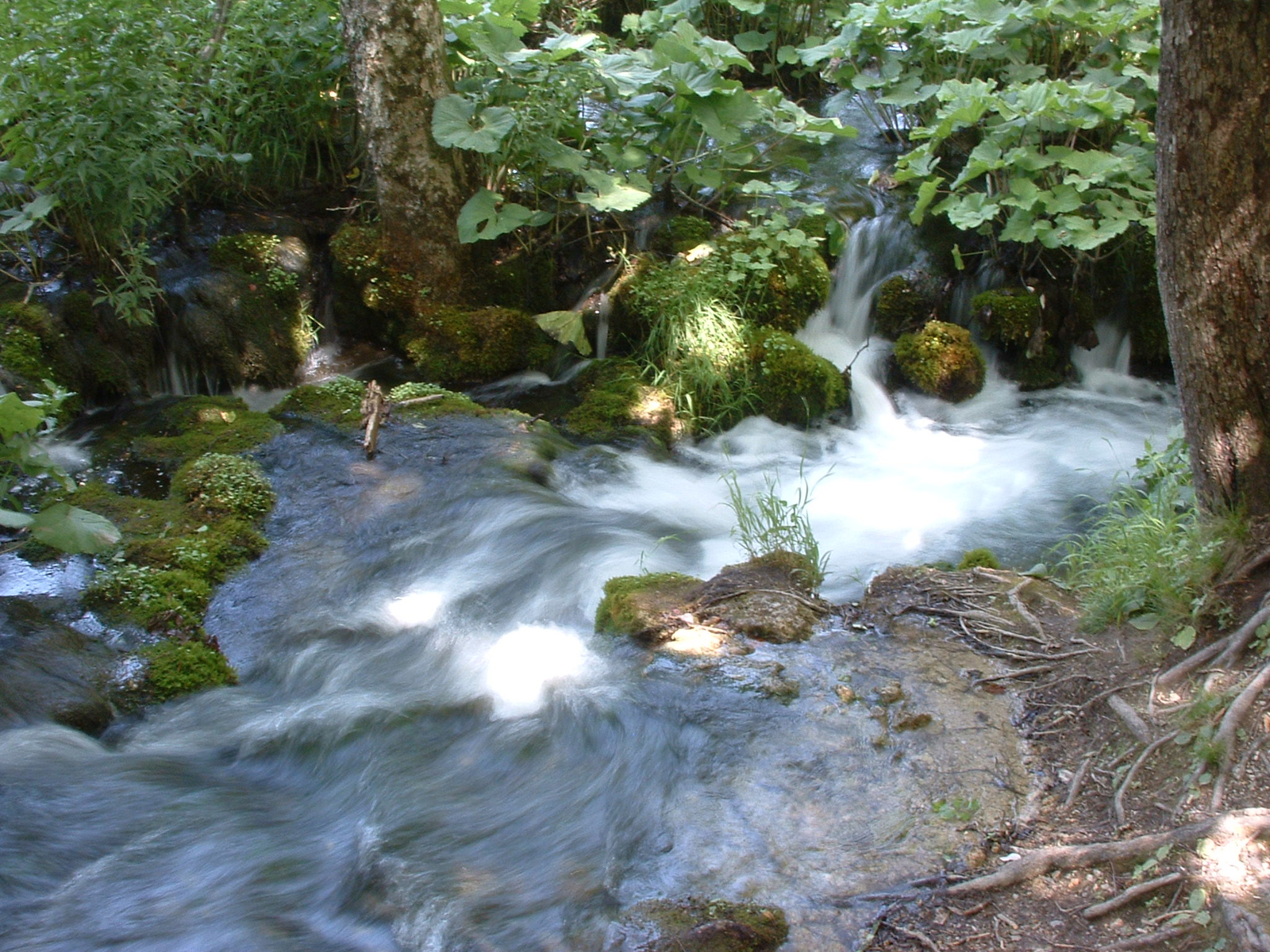 Plitvice138