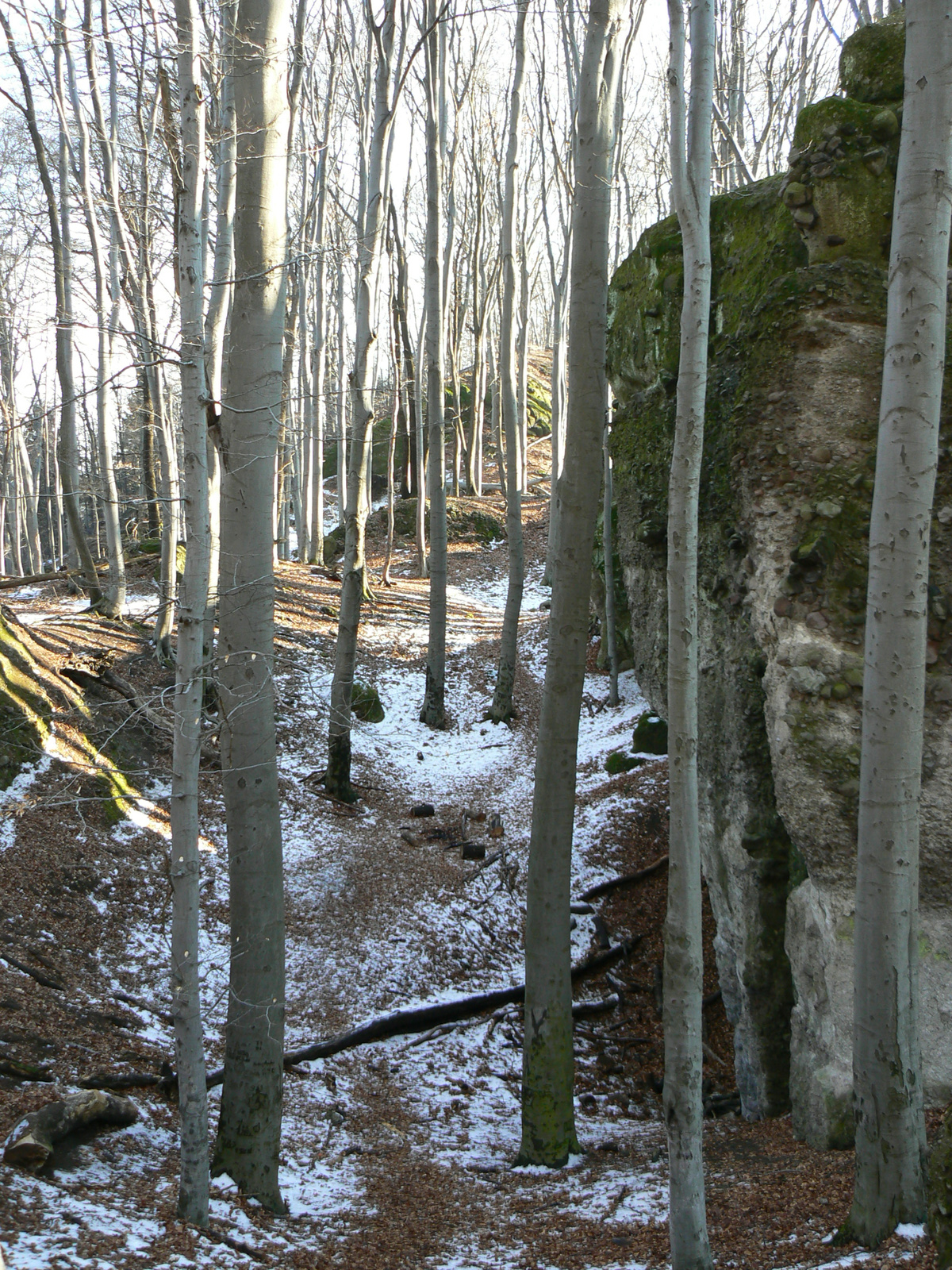 Dobogókő január 018