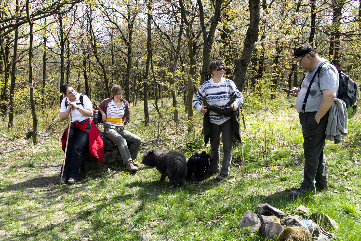 110416 NEX5 Hollókő-Nagybárkány 2445