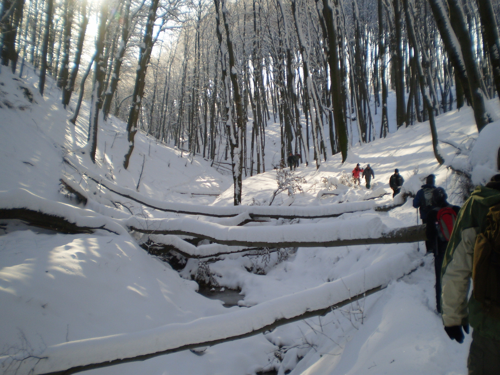 201011204Csesznek Kő árok