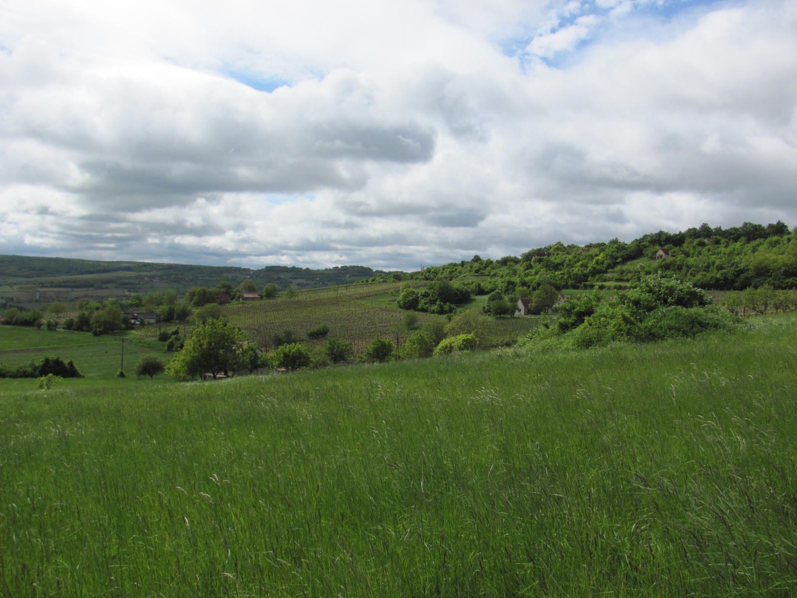 2011.05.08.Óbudavár teljesítménytúra 094