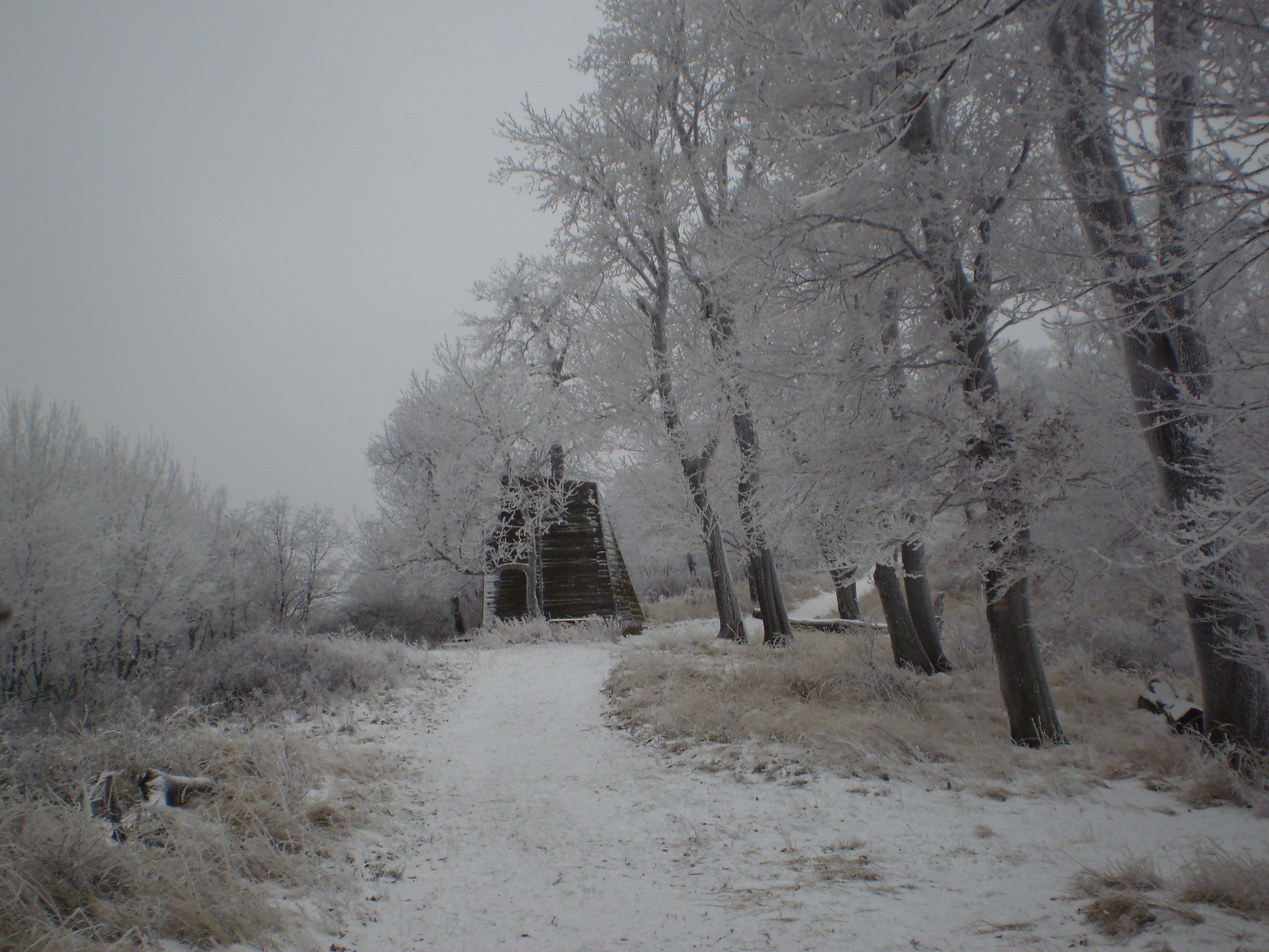 20090102 Zengőre fel