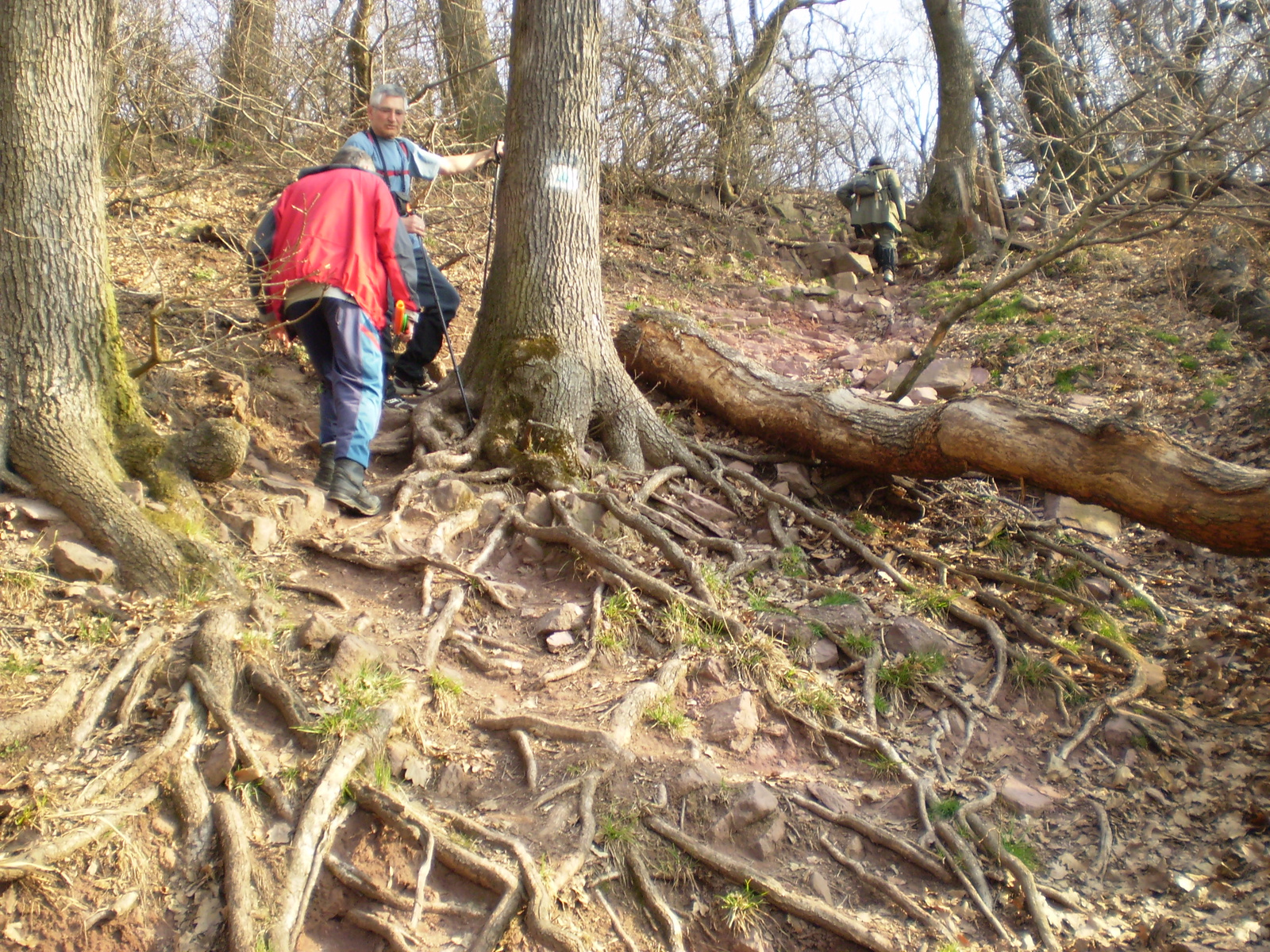 20090315Szuadó40 Bejárás