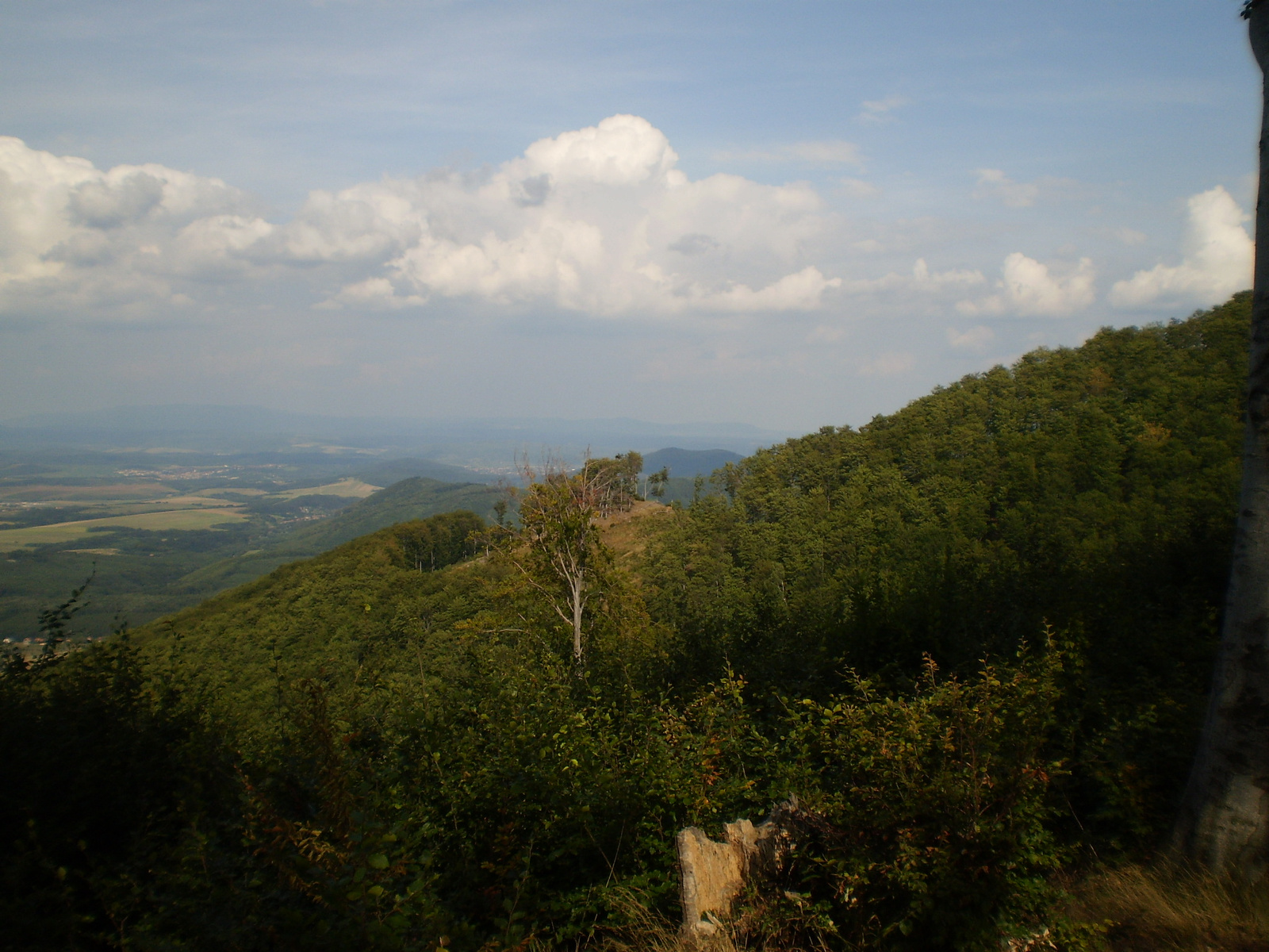 2009.08.12.Kilátáa Nagy lápa fő  064