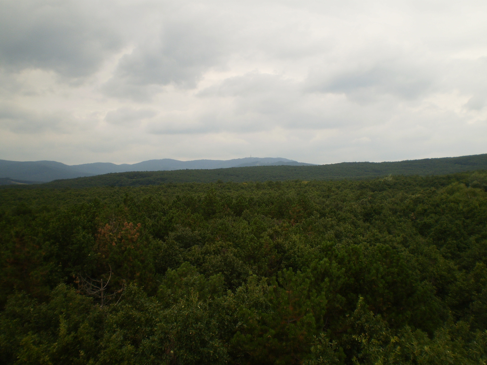 2009.08.13Gyöngyös 063