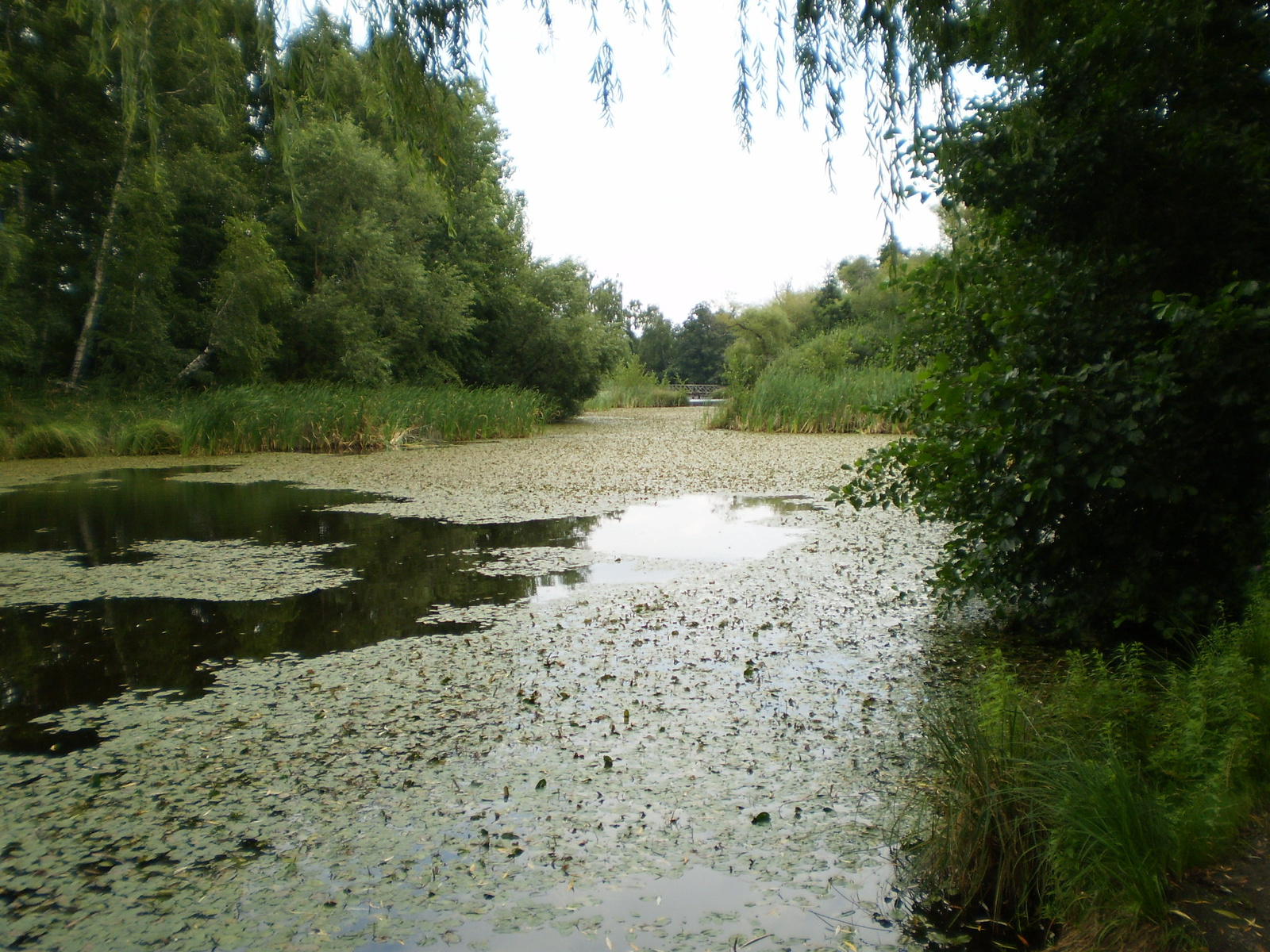 2009.08.13Gyöngyös 108