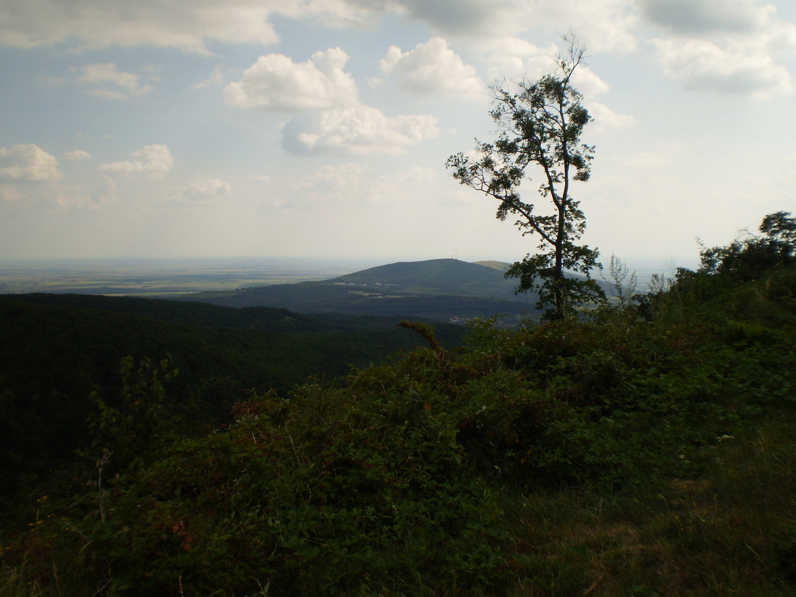 2009.08.15,mátraházáről mátrafüredre