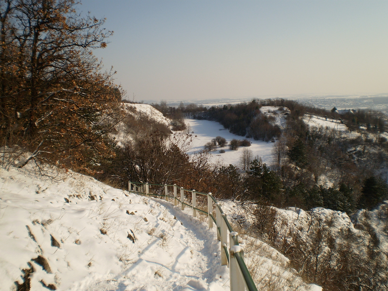 20091220Téli séta a Mecseki parkerdőben 025