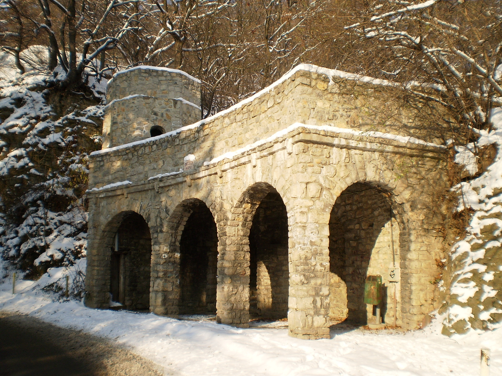 20091220Téli séta a Mecseki parkerdőben 103