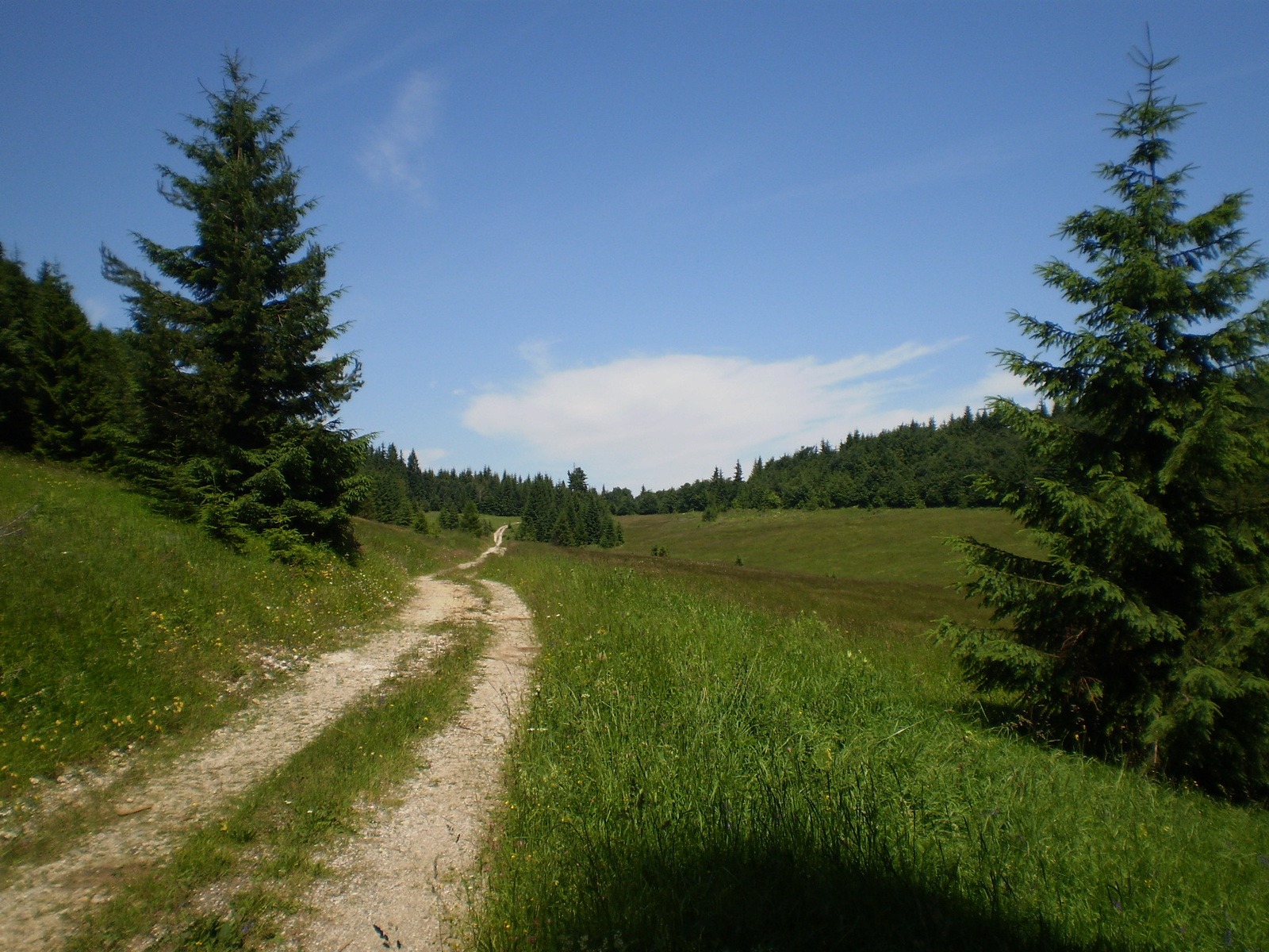 20100703-10Szlovák paradicsom- 944