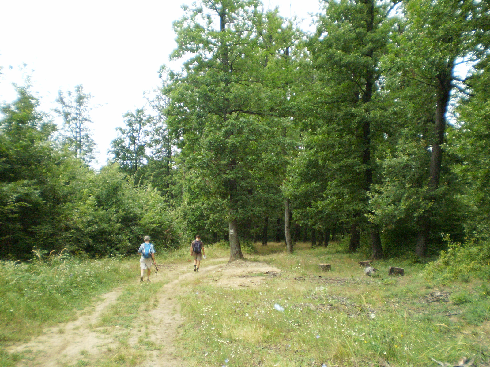 20100828 Keleti Mecseki Barangolások TT 096