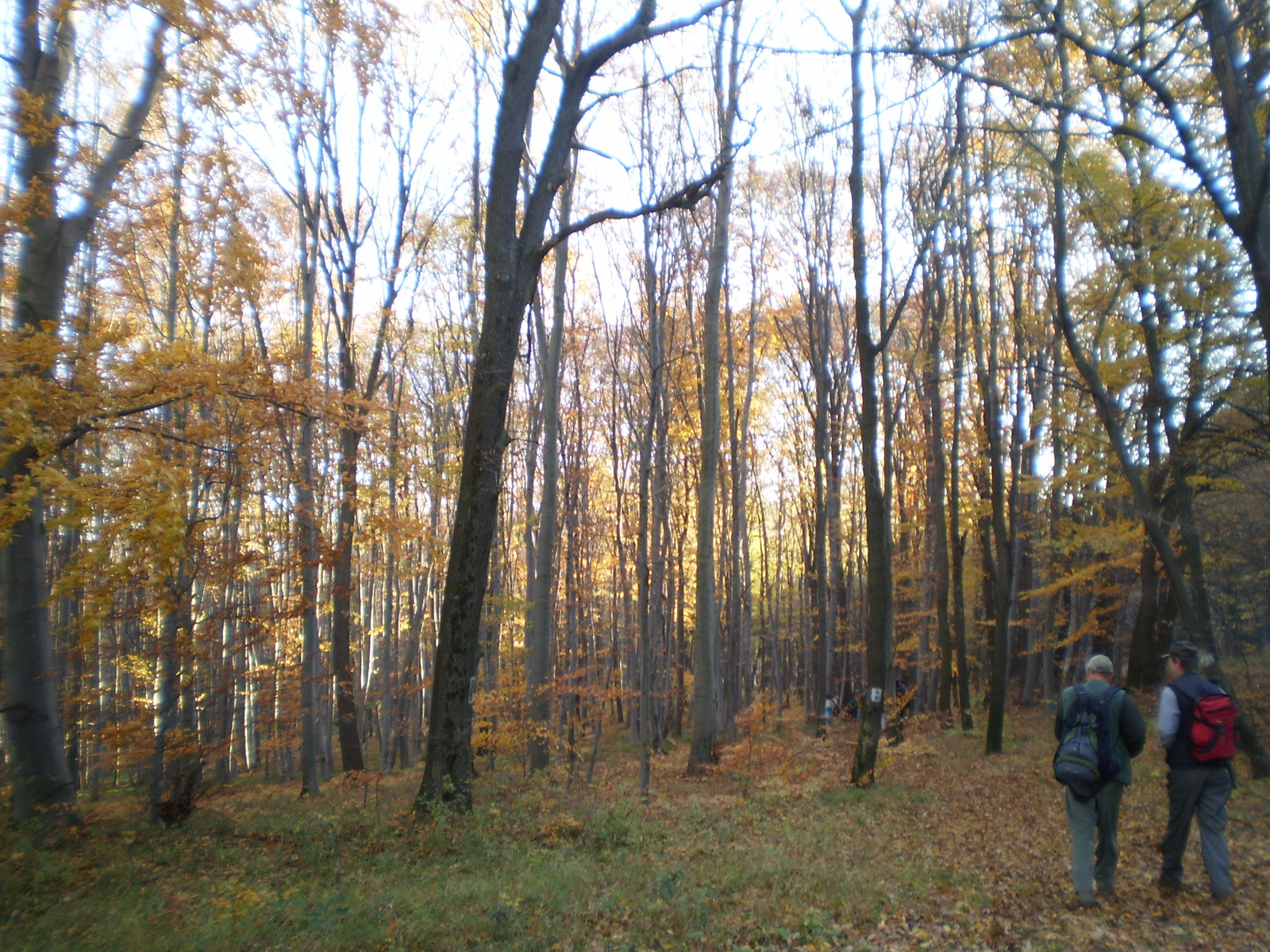 20101030Zobák-Pécsvárad 015