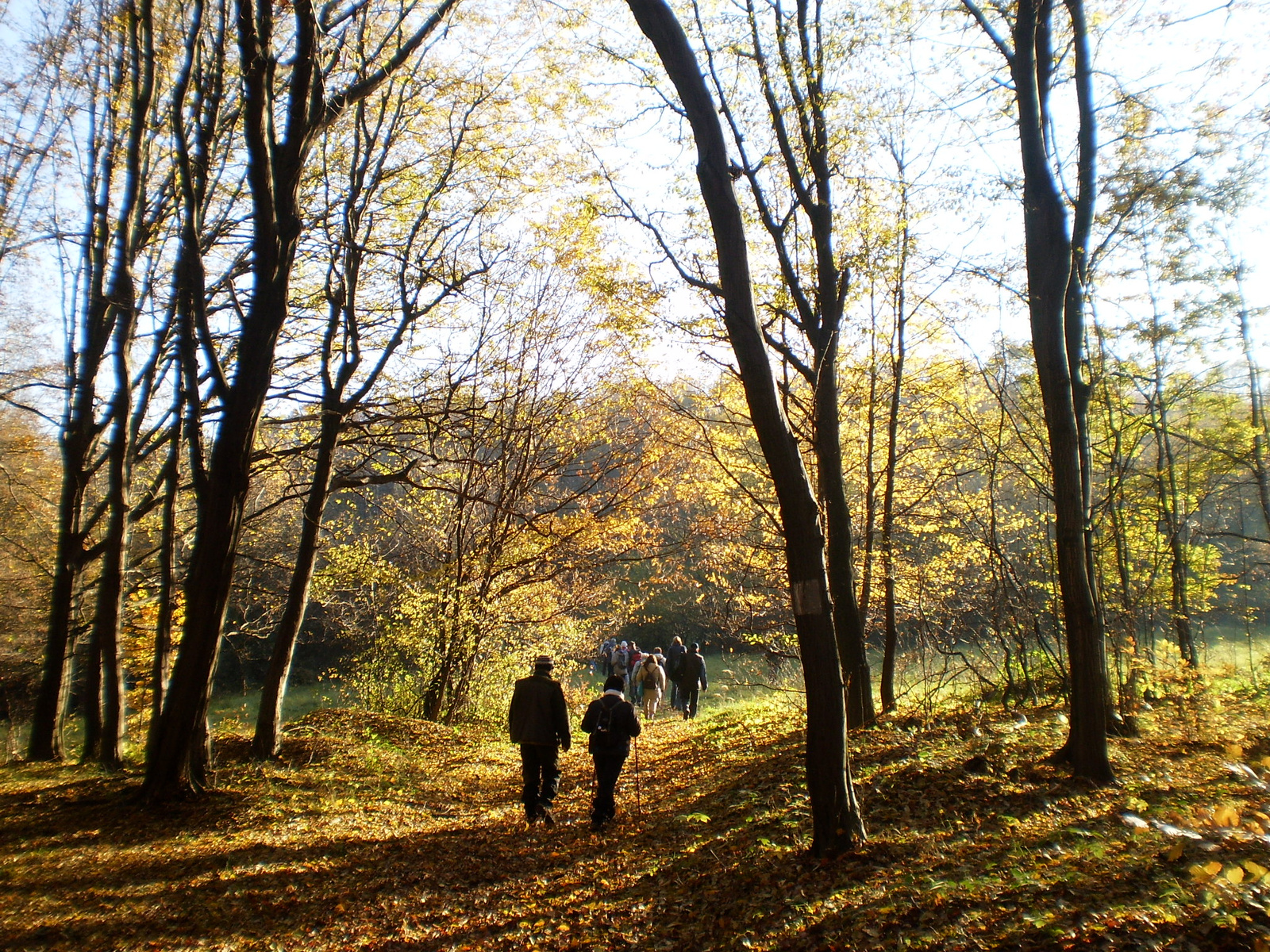 20101030Zobák-Pécsvárad 024