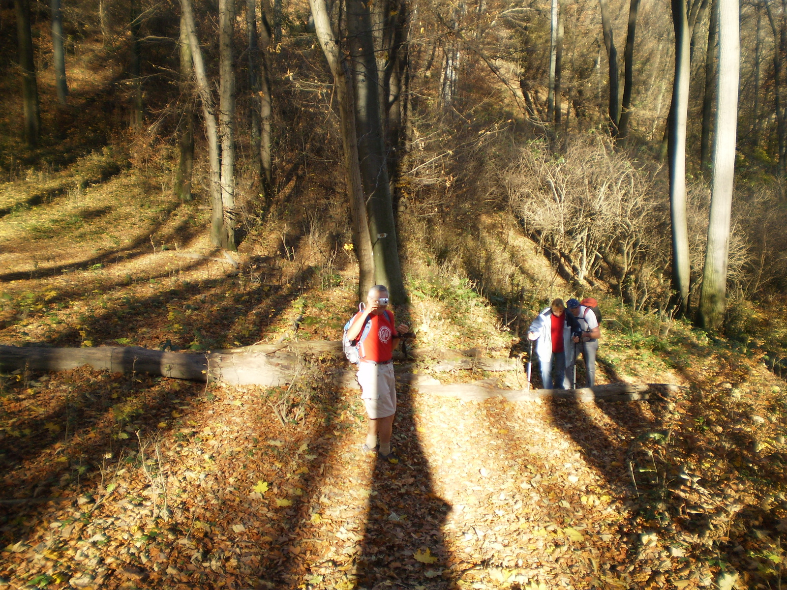 20101106 Mecsek 1000 teljesítménytúra 147