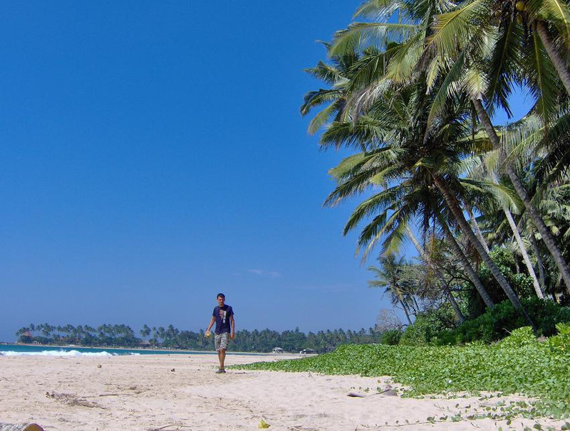 sri lankan coastline