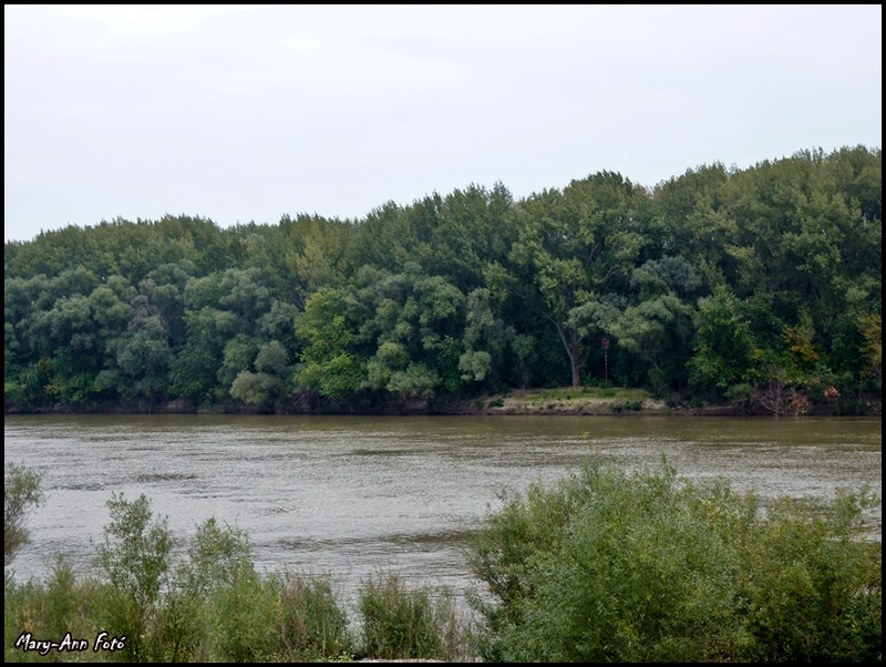 Tisza