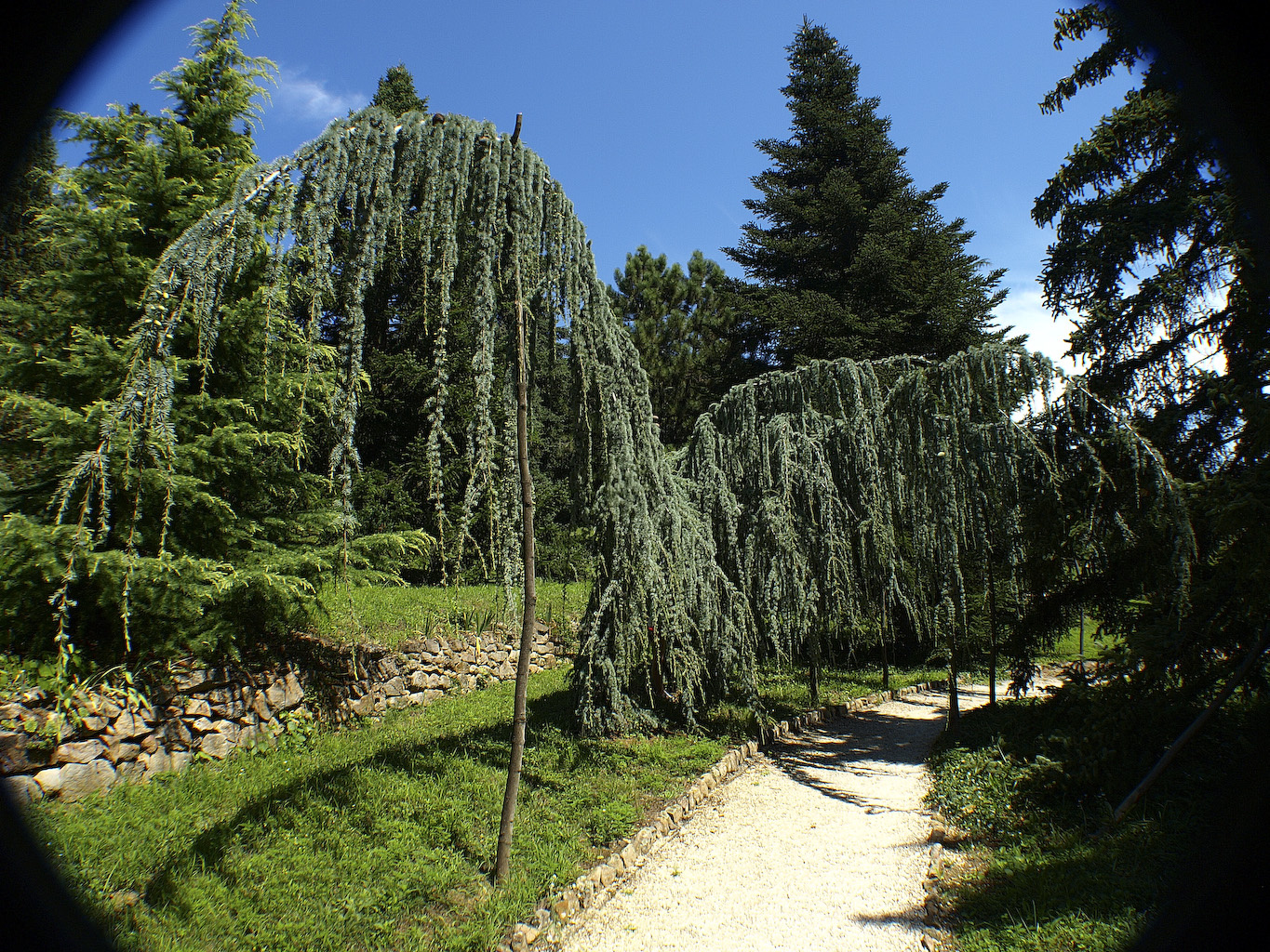 Folly-arborétum