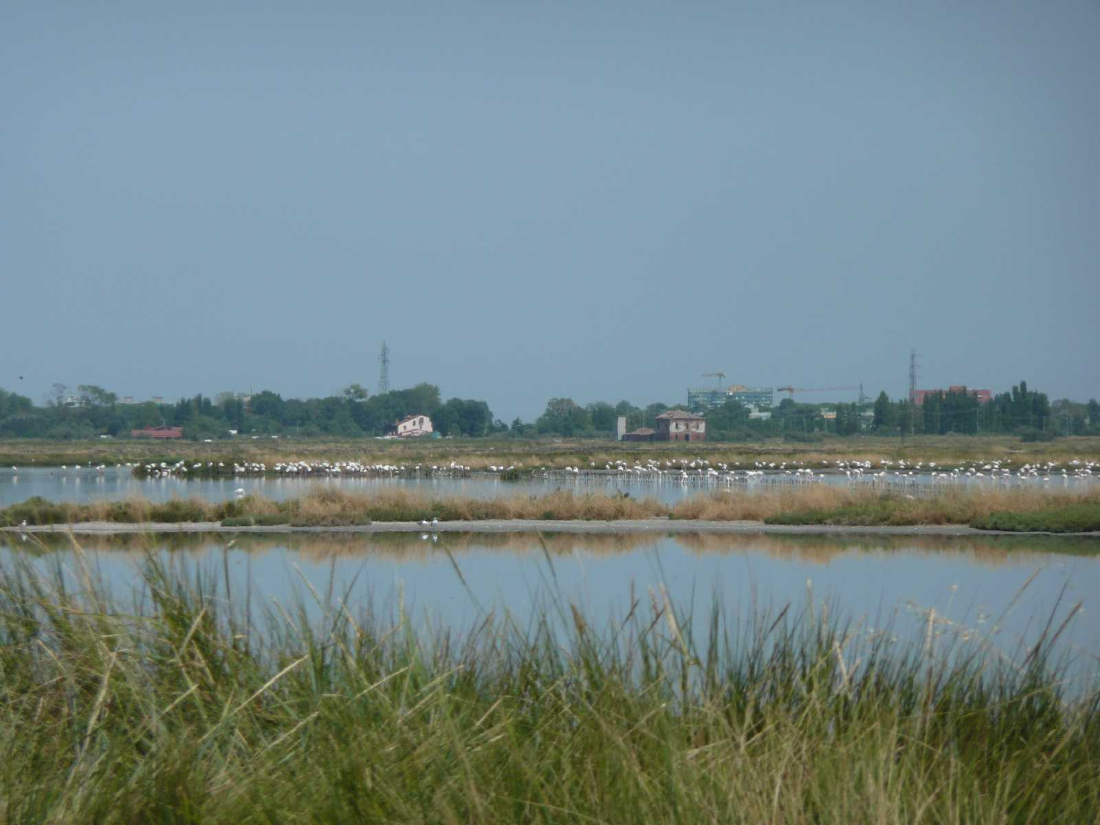 0865-Comacchio