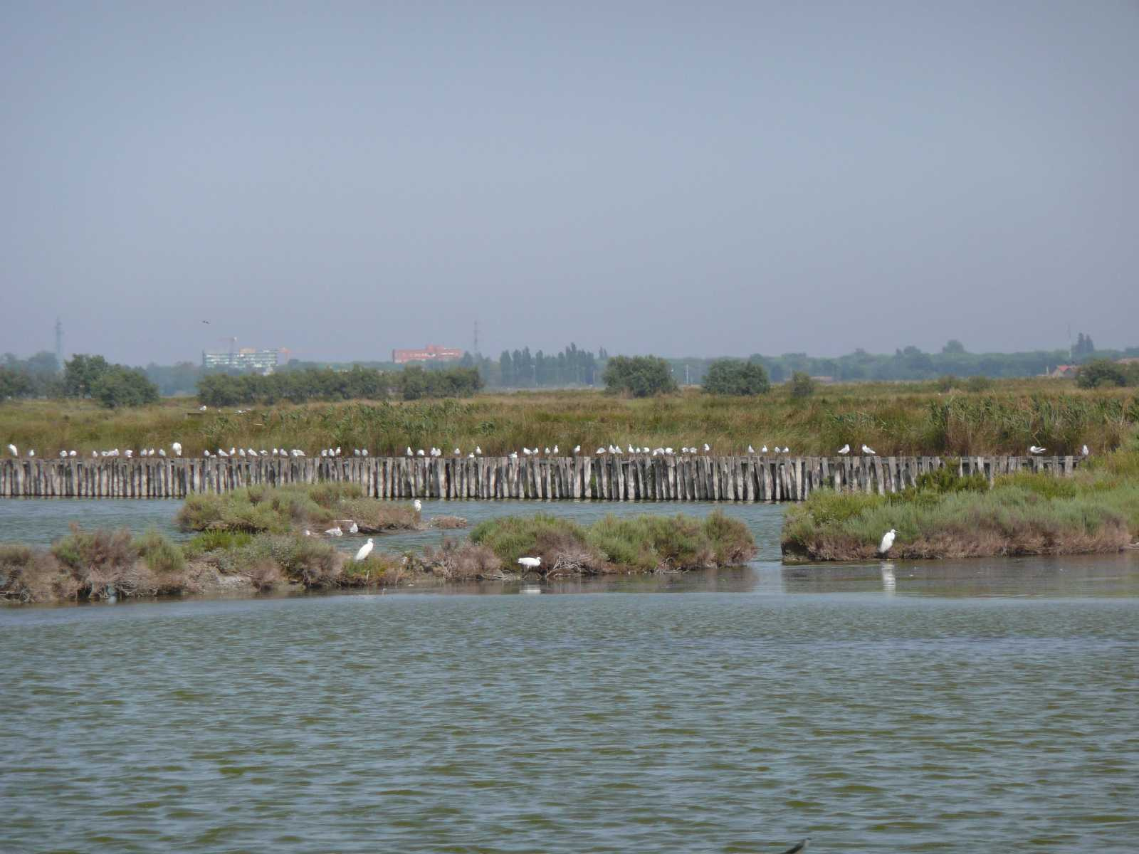 0954-Comacchio