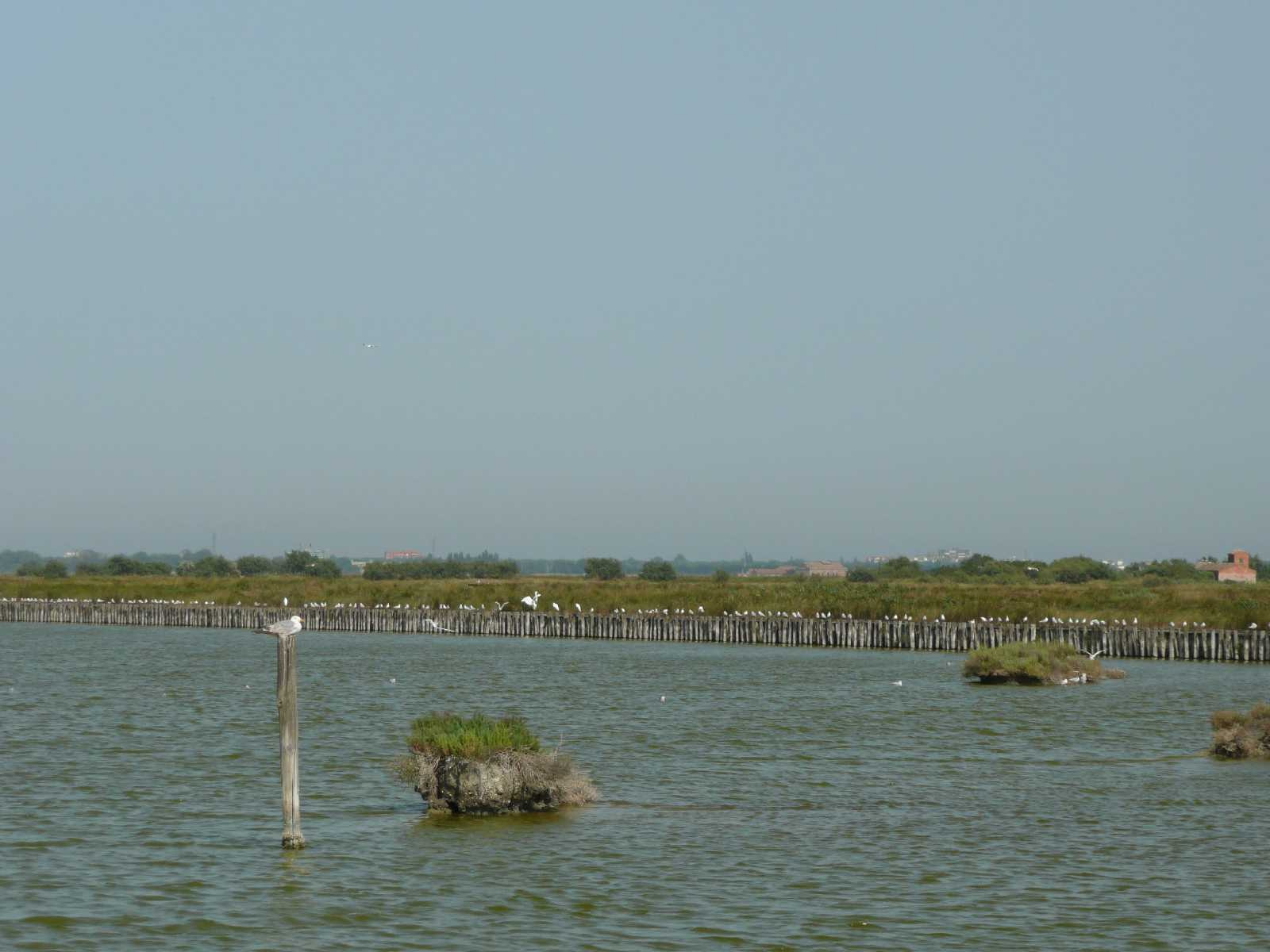 0955-Comacchio