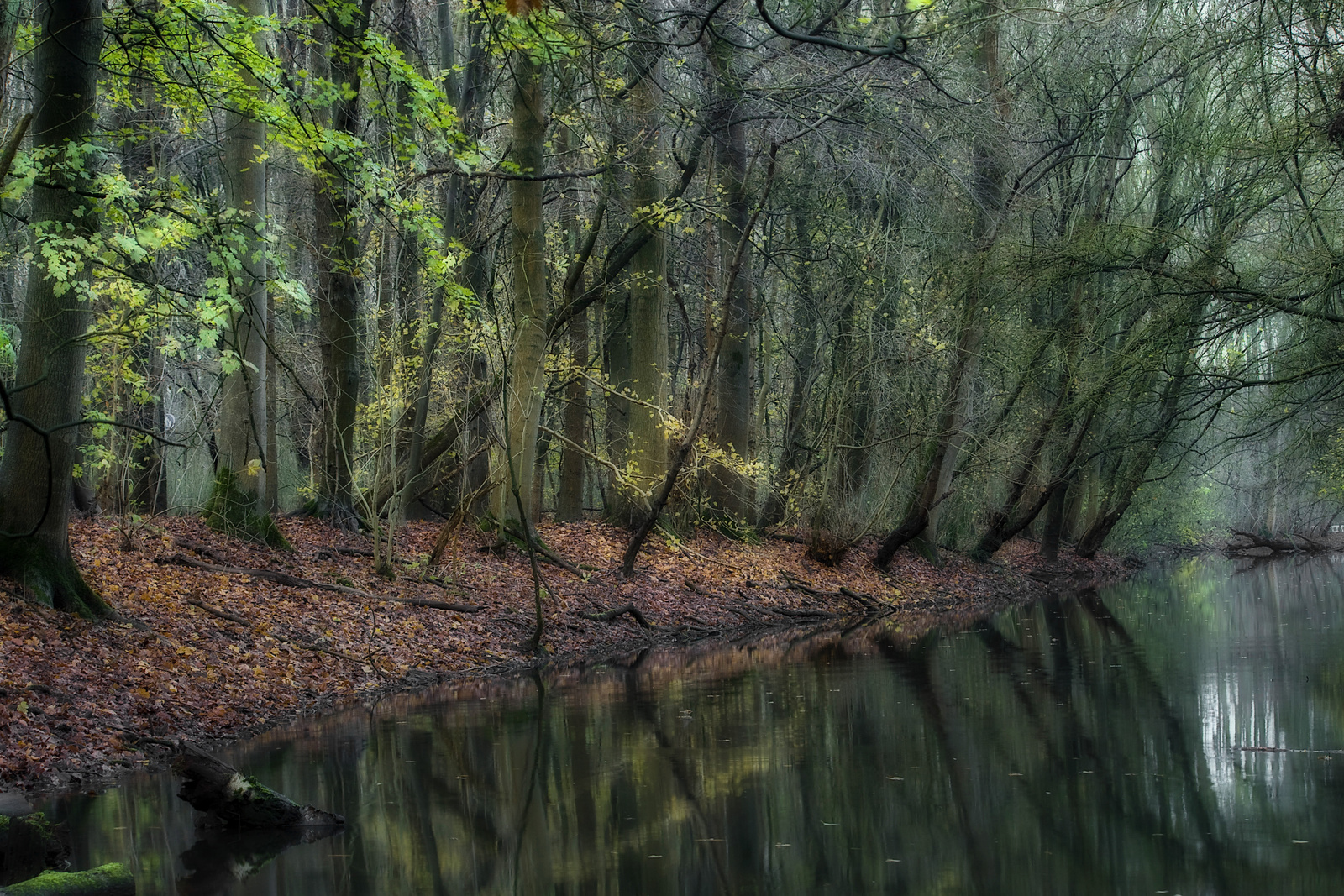 Amsterdamse Bos