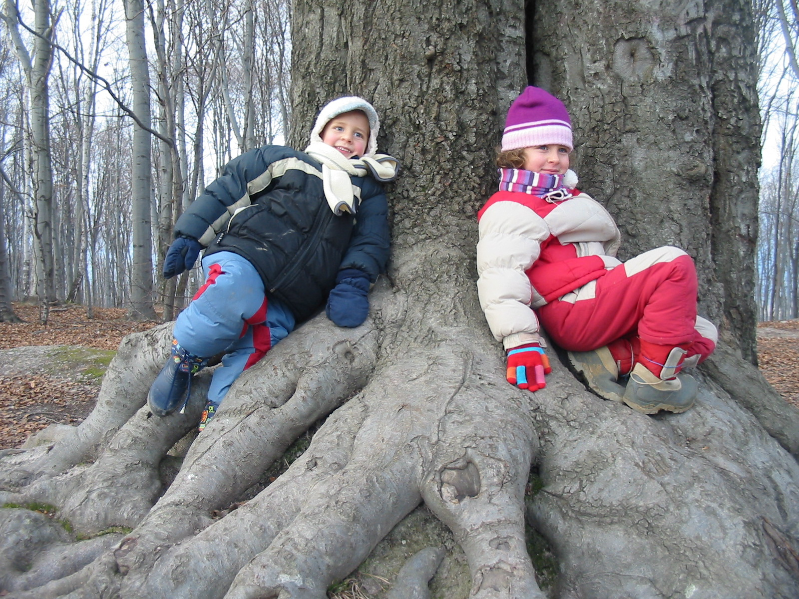 Szentlélek, 2009.12.13.