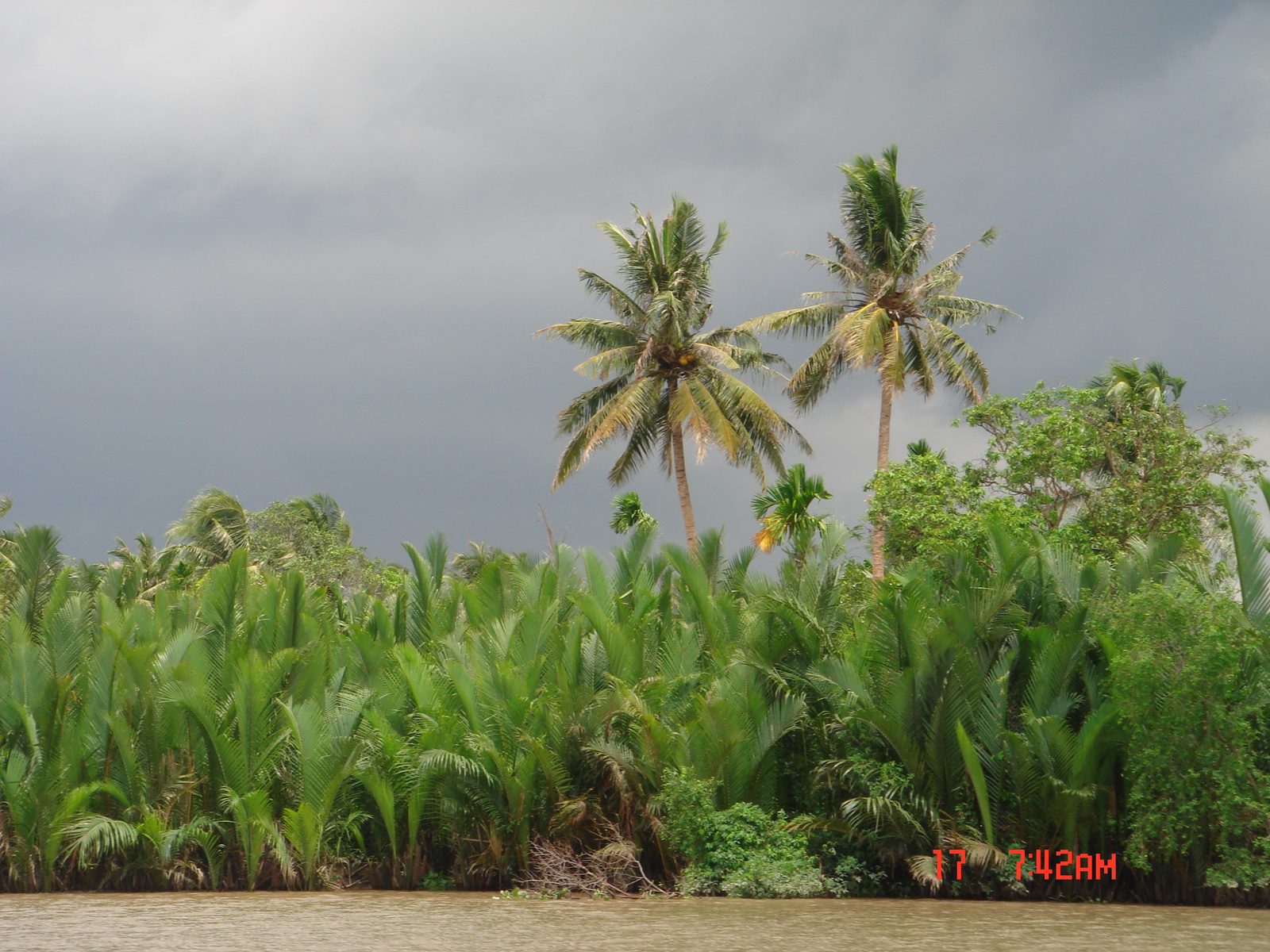 Mekong delta