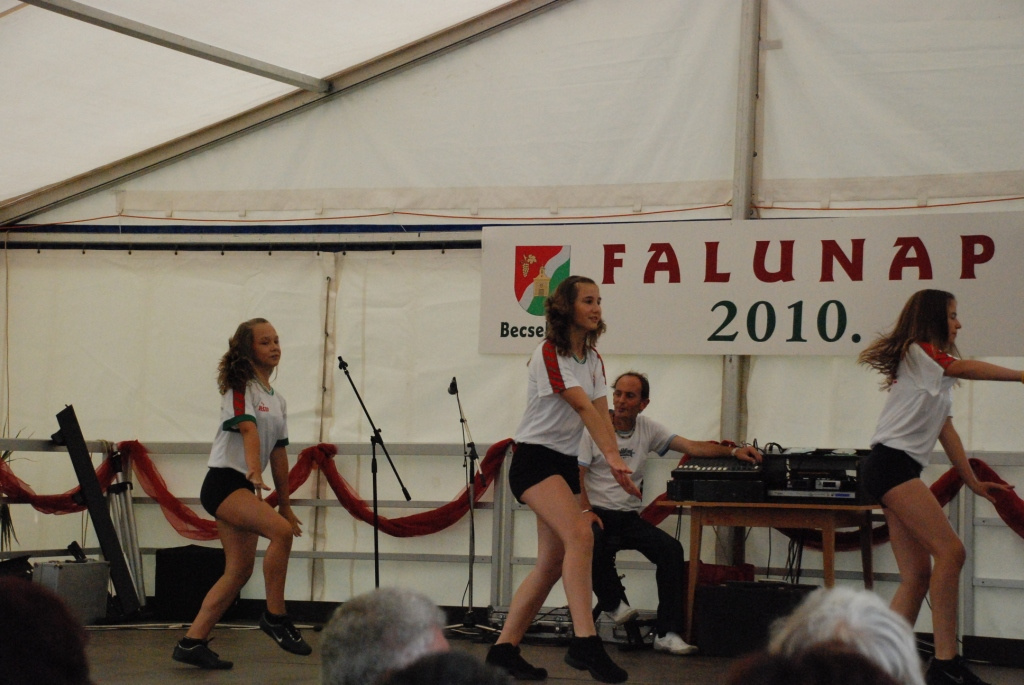 Falunap 2010. 105