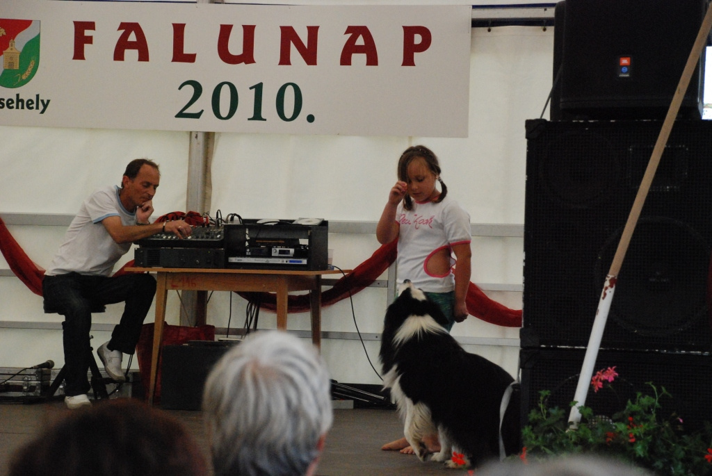 Falunap 2010. 112