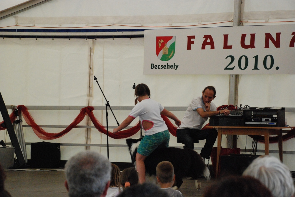 Falunap 2010. 118