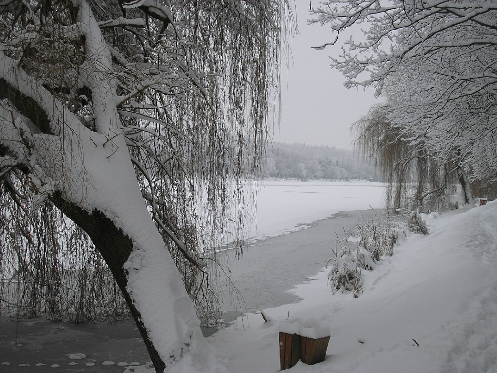 Malomvölgyi tó 052
