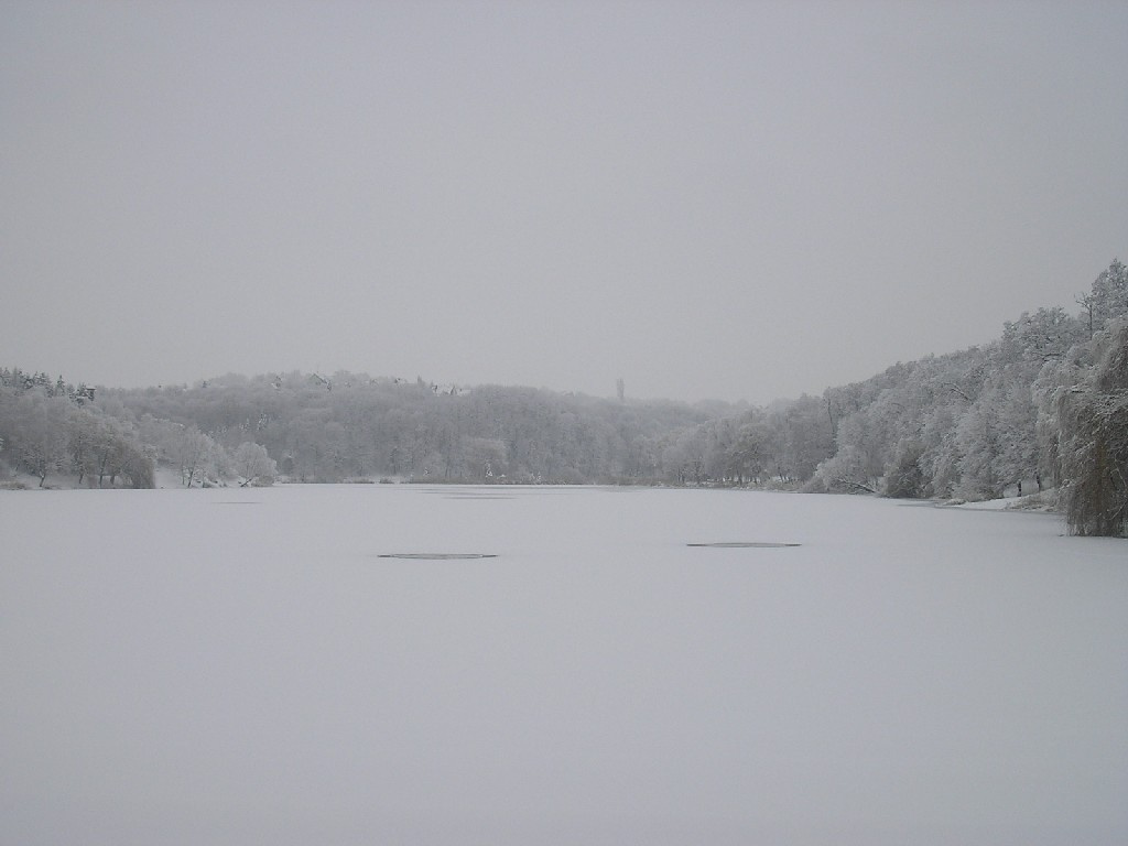 Malomvölgyi tó 062