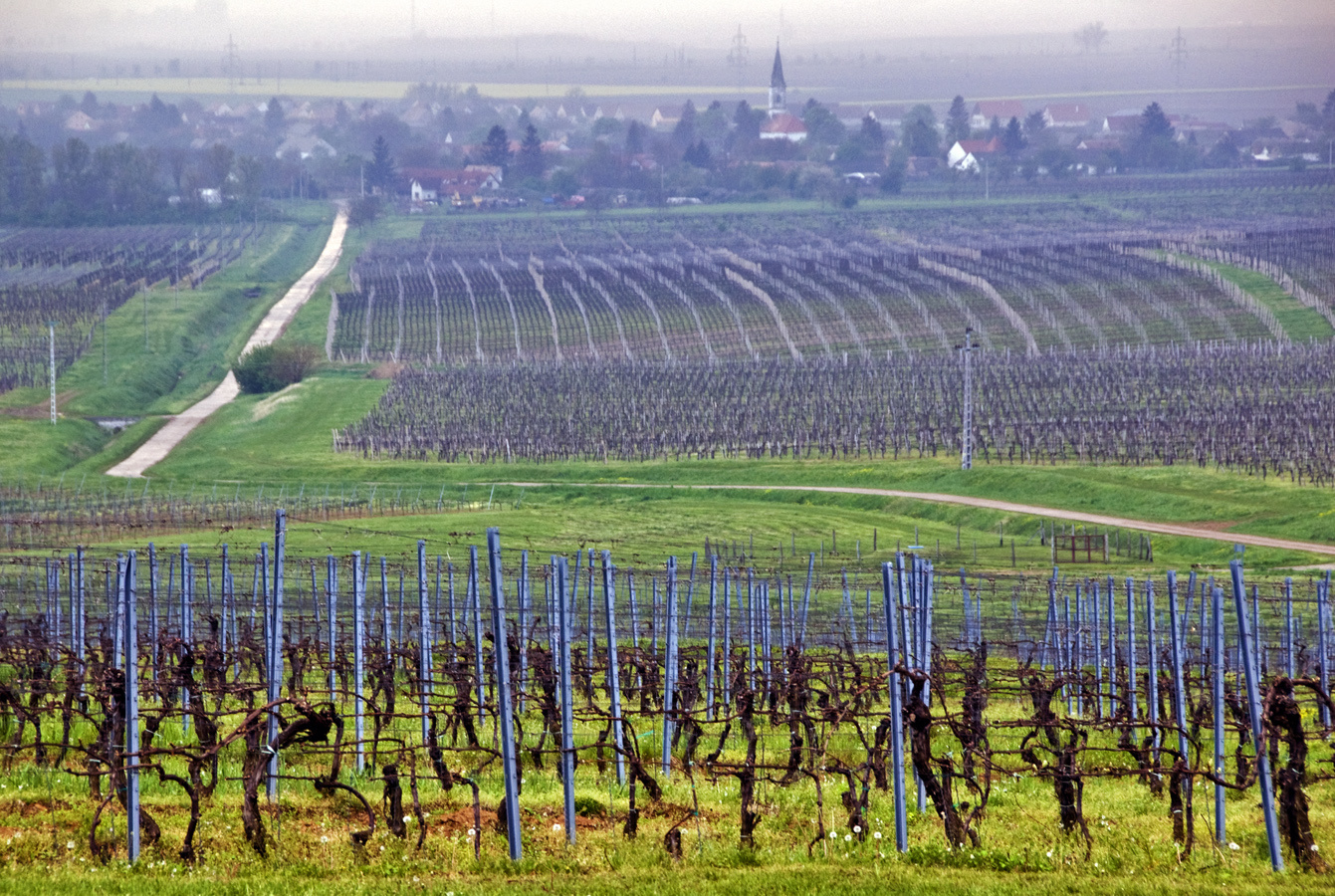 Vylyan Pince panorámája