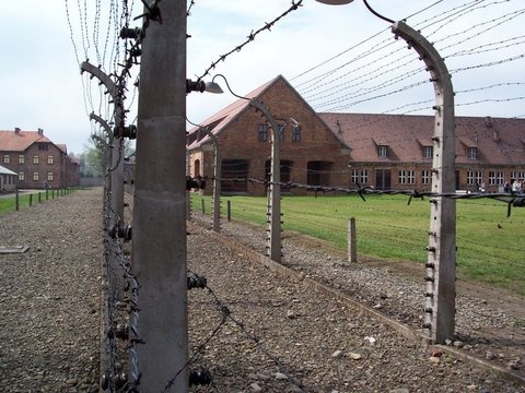 Auschwitz 2007