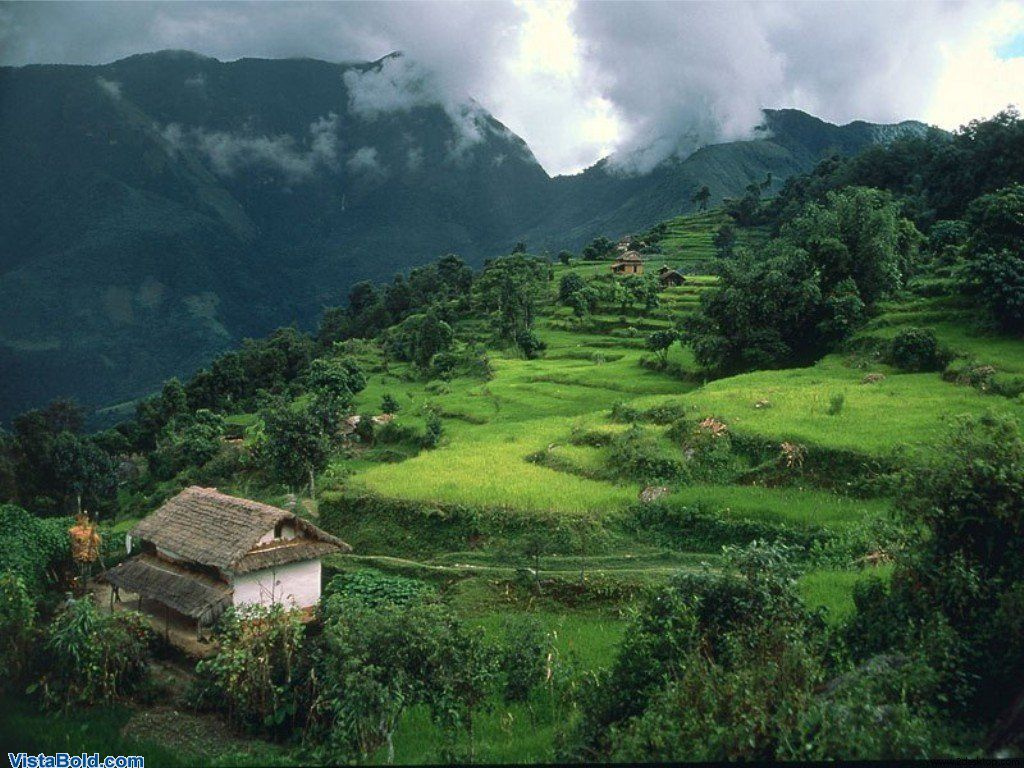 4009 Num Village Arun Nepal