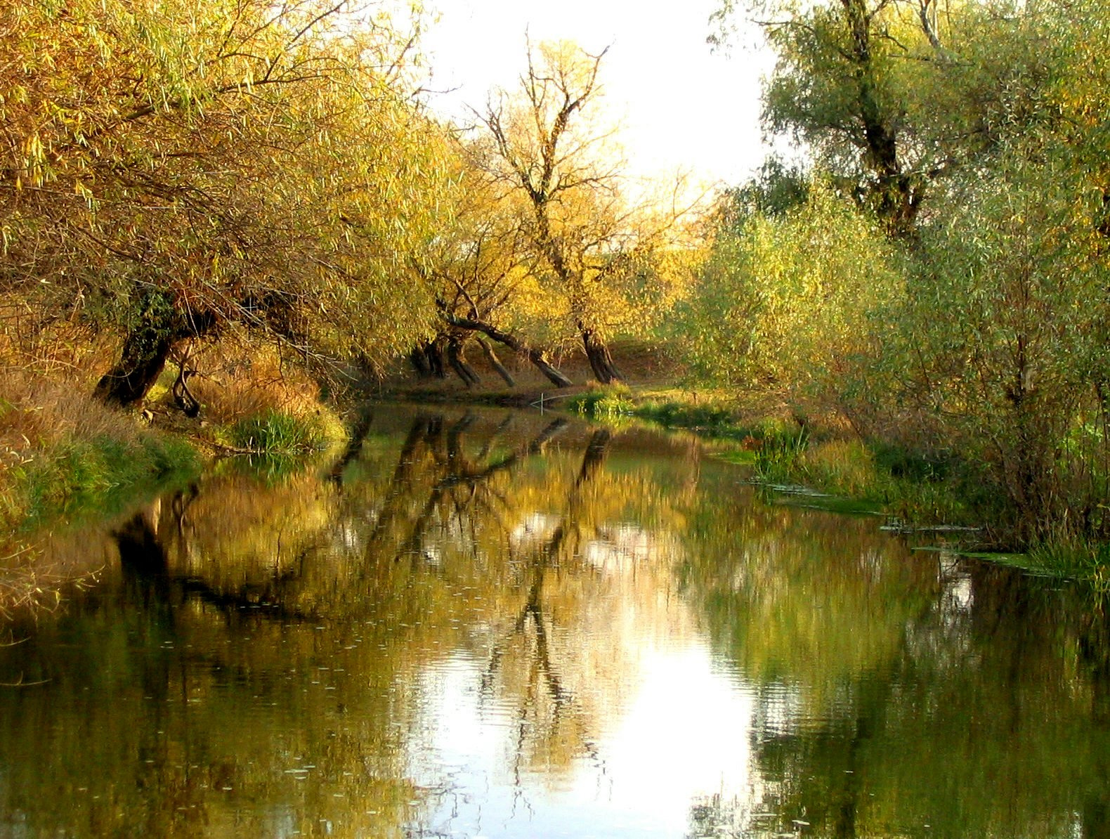 Ősszel a Zagyva