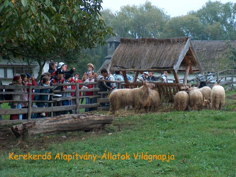 állatok világnapja/0027