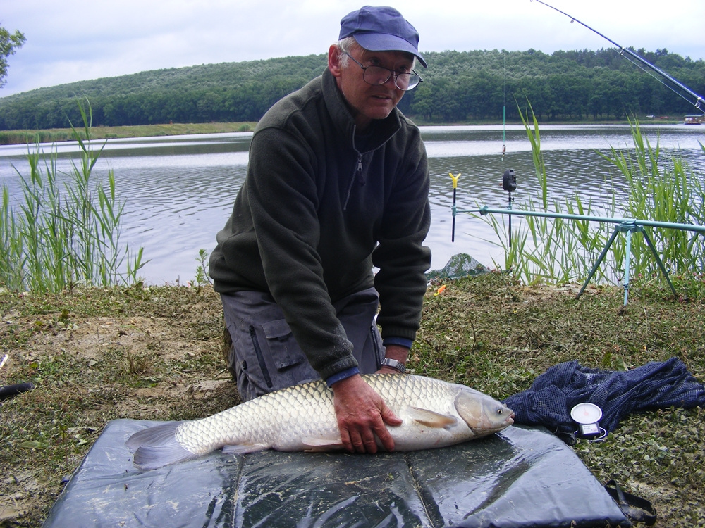 Harsány2009 163