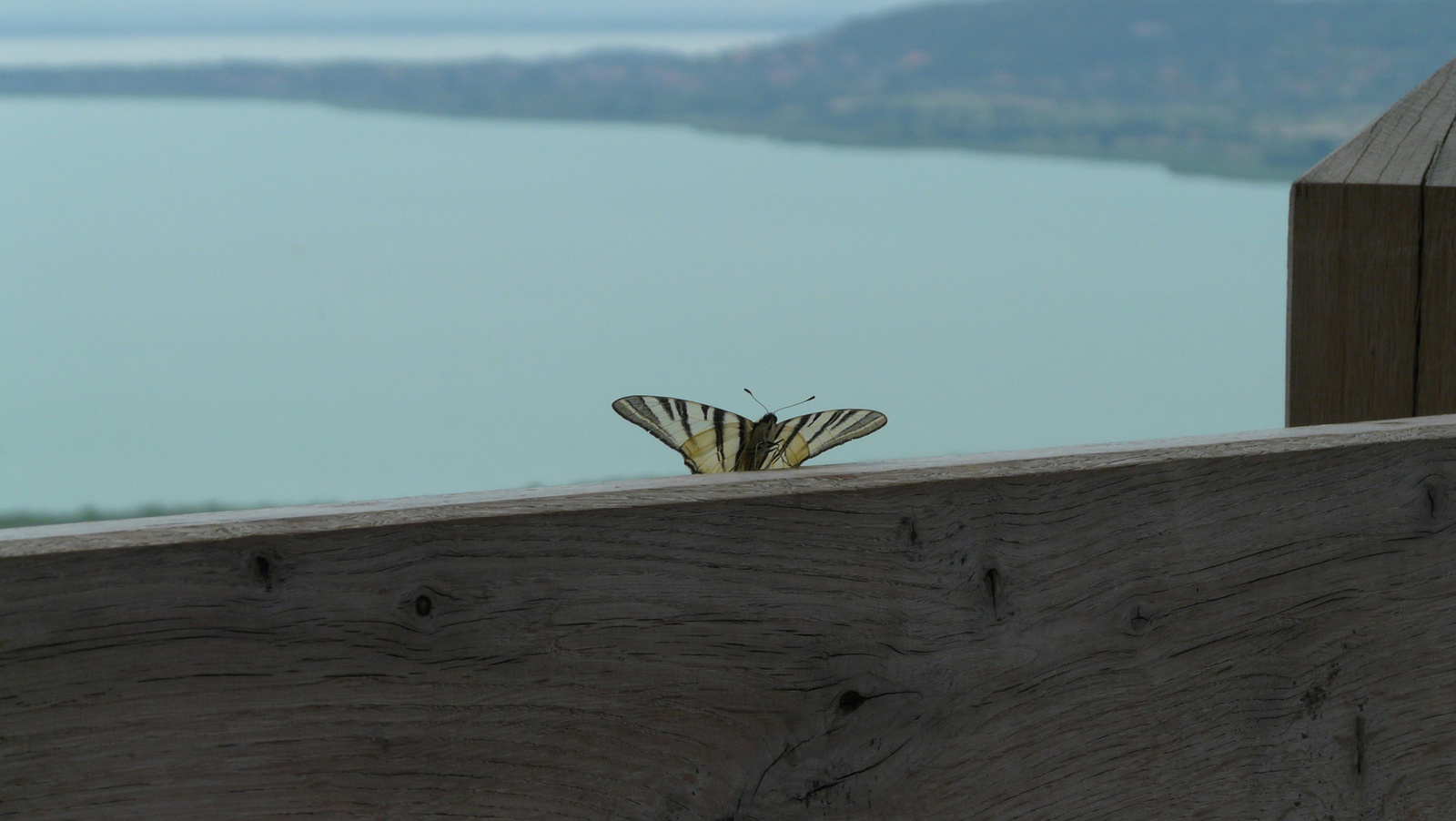 Balaton3