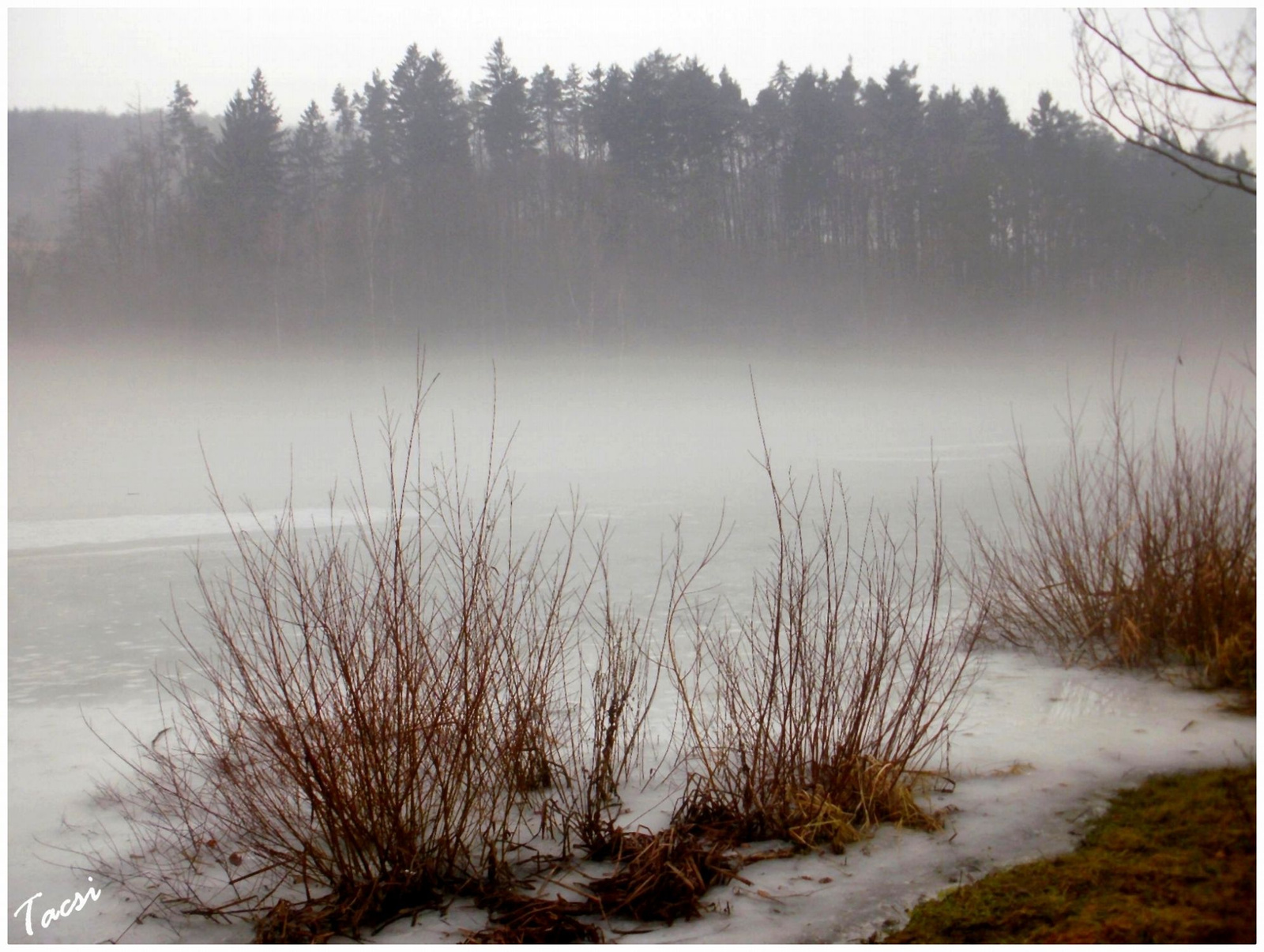 Ködpárna a befagyott tó felett