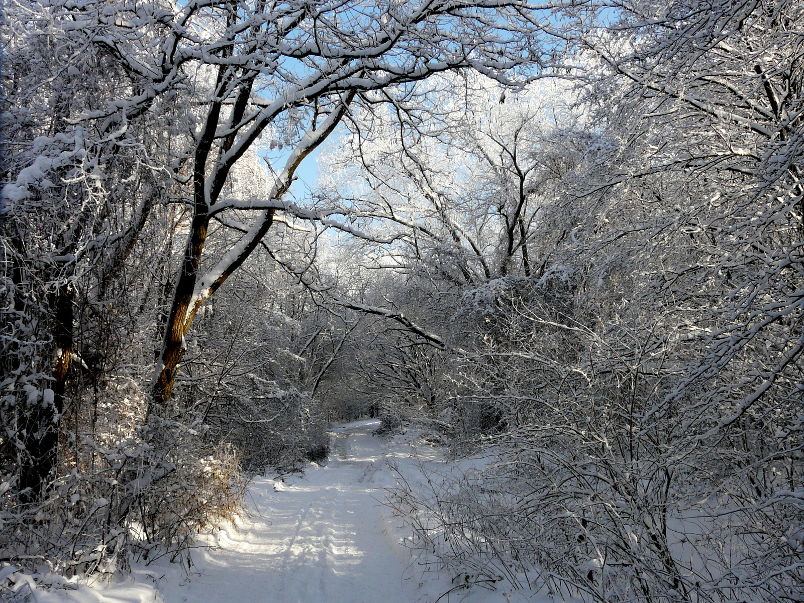 Somoskő 2011.01.02. 12-30-34